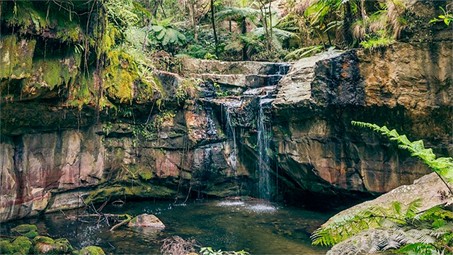 Carnarvon Gorge