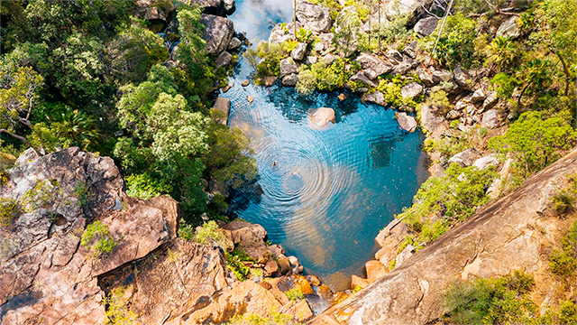 Blackdown Tablelands